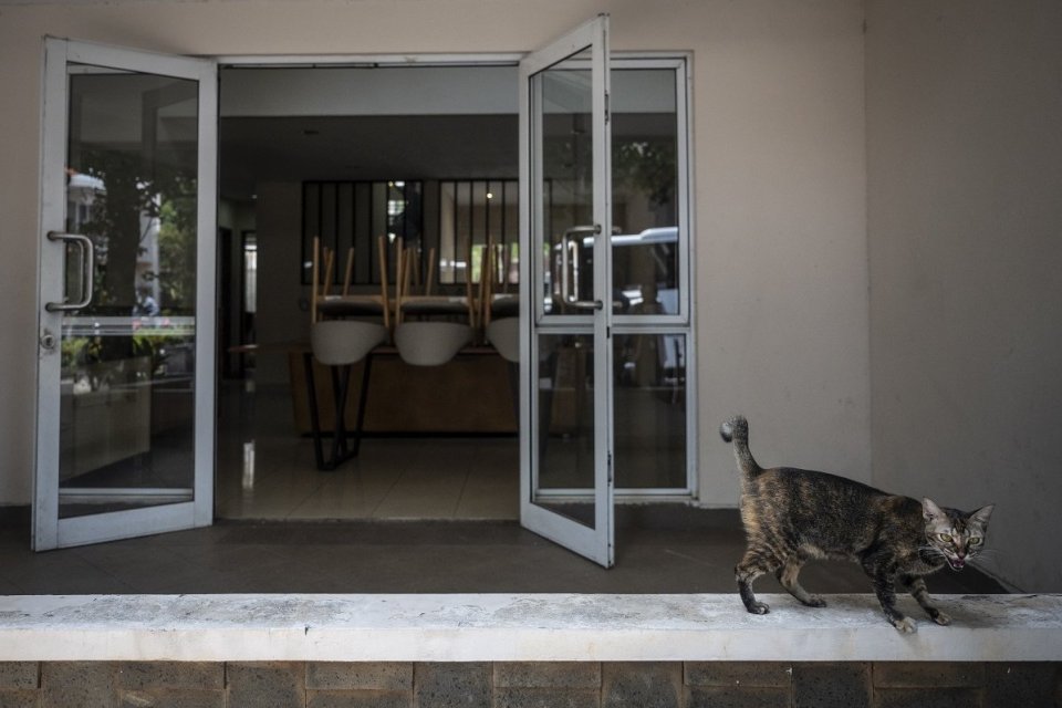 dpr, rumah dinas, tunjangan