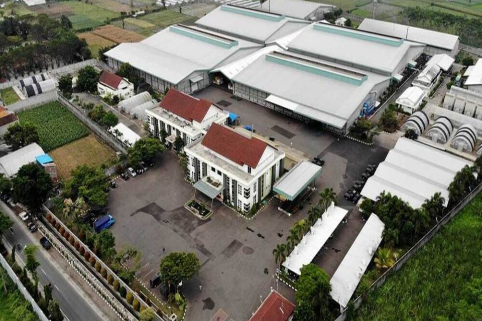 Andy Gumala ditangguhkan dari posisi Direksi PT Bisi International Tbk oleh Dewan Komisaris.