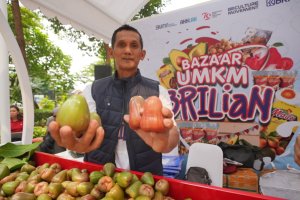 Pengusaha Jambu Mendapat KUR BRI