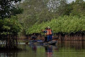 Konservasi mangrove segara anakan oleh PT KPI Project Cilacap