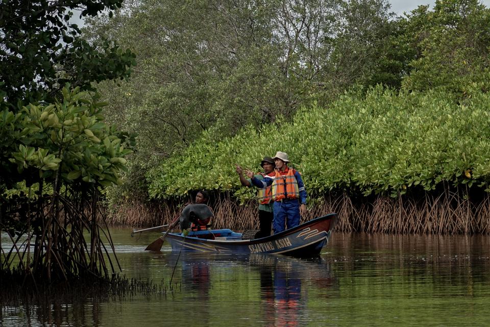 Pekerja dari PT Kilang Pertamina Internasional (KPI) Project Cilacap bersama anggota kelompok pelestari mangrove Sidaasih melakukan monitoring pohon mangrove yang ditanam di kawasan segara anakan, Kutawaru, Cilacap, Jawa Tengah, Rabu (23/10/2024).