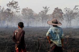 Karhutla di Aceh Barat