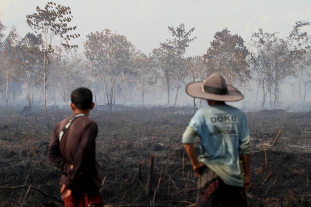 Lahan gambut, kebakaran hutan