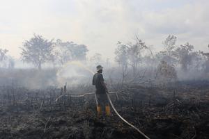 Karhutla di Aceh Barat