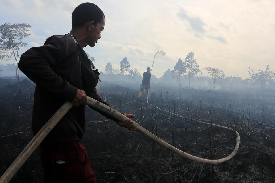 Petugas melakukan proses pemadaman dan pendinginan kebakaran hutan dan lahan (karhutla) di kawasan lahan gambut Desa Deuah, Kecamatan Samatiga, Aceh Barat, Aceh, Sabtu (26/10/2024). Meskipun pihak Kepolisian Polres Aceh Barat kerap melakukan sosialisasi l
