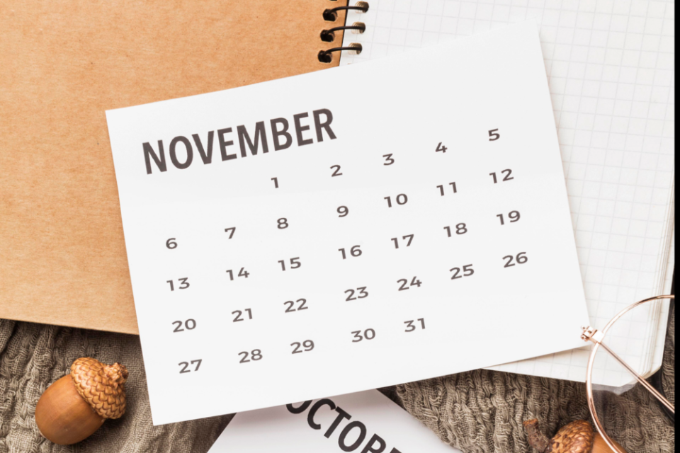 daftar hari penting nasional dan internasional November 2024