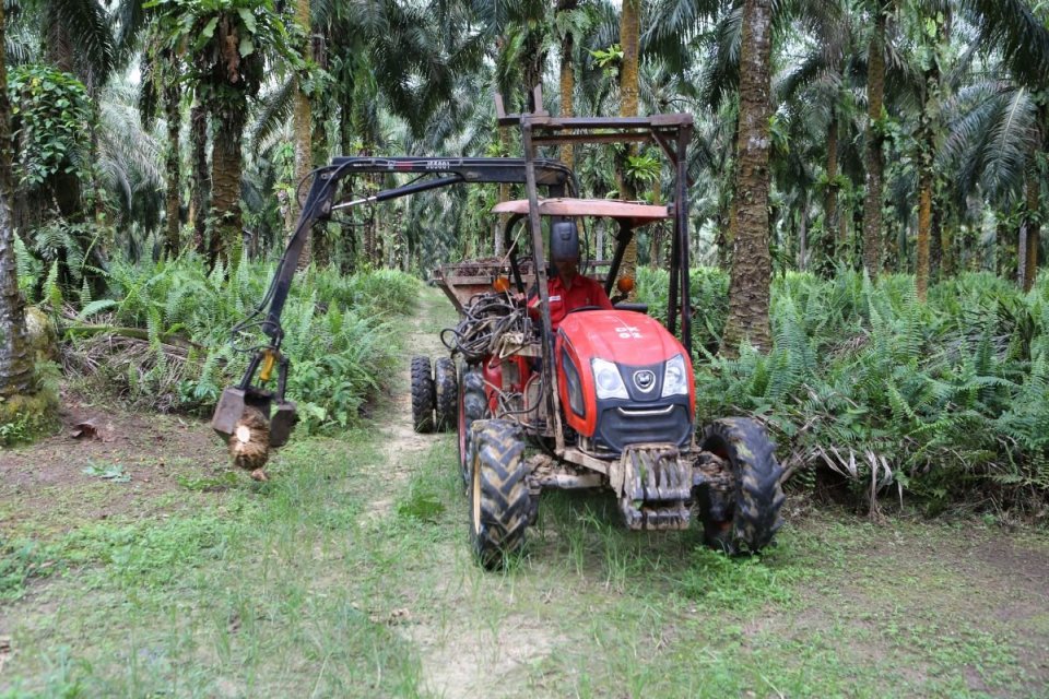 Emiten kelapa sawit, produk kayu, dan energi terbarukan, PT Dharma Satya Nusantara Tbk (DSNG), mencatatkan laba Rp 868 miliar hingga kuartal III 2024.
