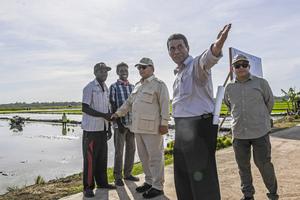 Presiden kunjungi lahan pertanian di Merauke