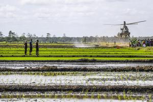 Program optimasi lahan rawa di Kabupaten Merauke