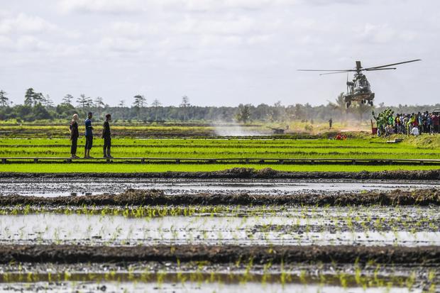 Ribuan Titik Panas Kepung Proyek Strategis Nasional di Papua Selatan