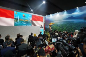 Hashim Djojohadikusumo di COP29