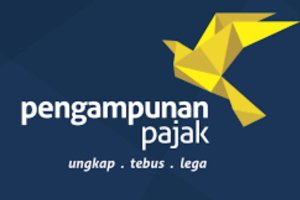 Apa itu Tax Amnesty