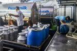 Jumlah kebutuhan susu nasional