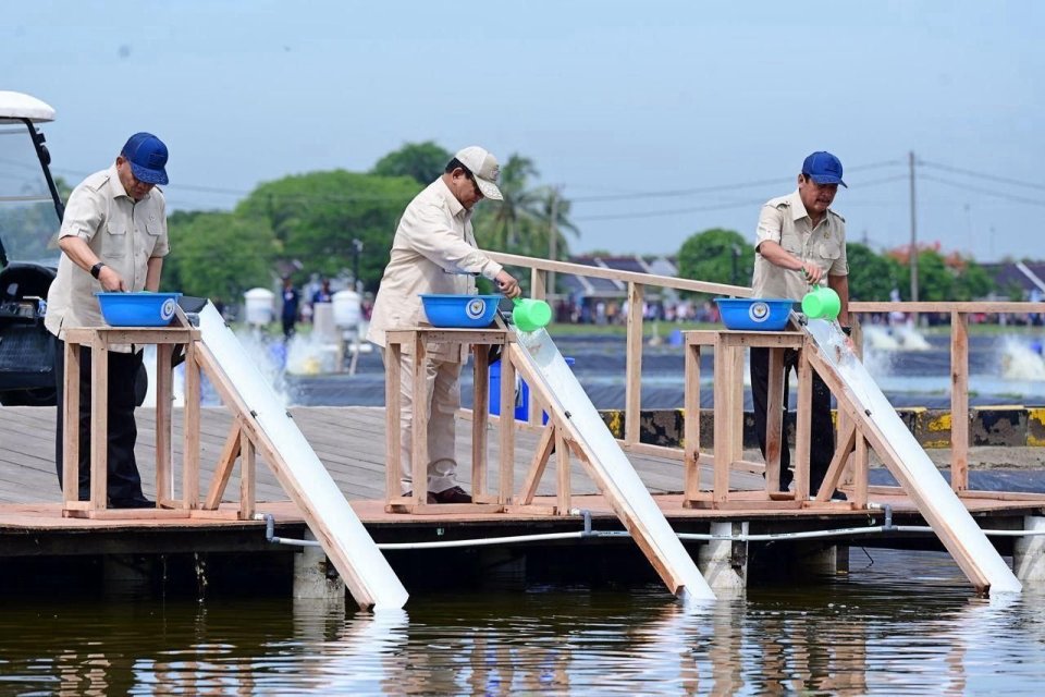 prabowo, makan gratis, ikan nila