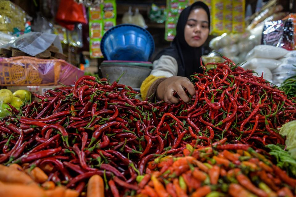 harga pangan, cabai rawit merah, harga cabai