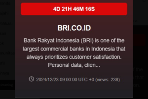 BRI diduga terkena serangan hacker