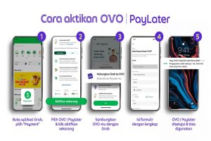 OVO PayLater