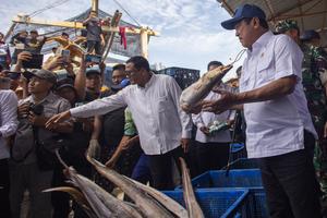 Menteri Kelautan dan Perikanan cek stok ikan di TPI Karangsong