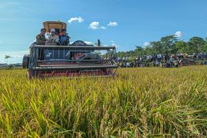 Kunjungan Menteri Pertanian di Konawe