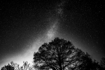 Black moon
