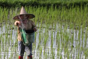 Penyediaan KUR untuk peningkatan produksi pertanian