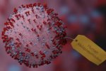 Gejala Virus HMPV