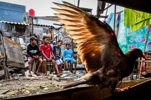 Tingkat kemiskinan menurun pada 2024