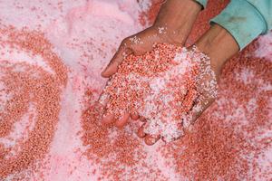 Alokasi pupuk subsidi untuk mendukung swasembada pangan