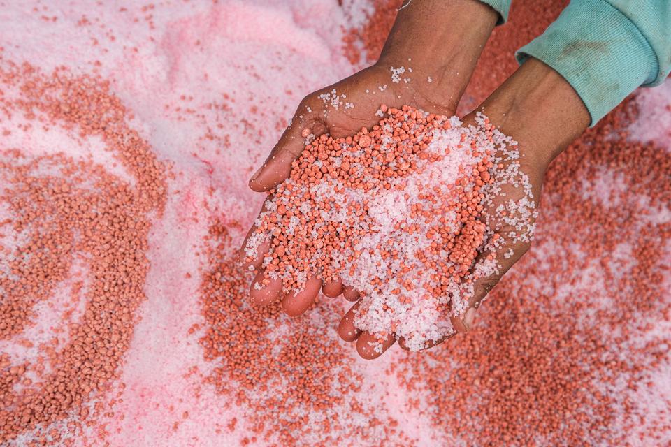 Seorang petani menunjukkan pupuk yang telah dicampur untuk ditebar ke areal persawahan Ranomeeto, Kabupaten Konawe Selatan, Sulawesi Tenggara, Rabu (8/1/2025). PT Pupuk Indonesia menyiapkan 9,55 juta ton pupuk bersubsidi untuk tahun 2025 yang terdiri dar