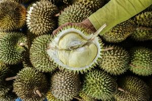 Musim durian Kasongan khas Kalimantan Tengah