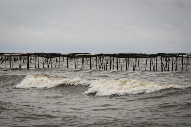 Pemagaran laut di pesisir Tangerang