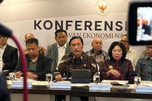 Luhut, DEN dan Mari Elka