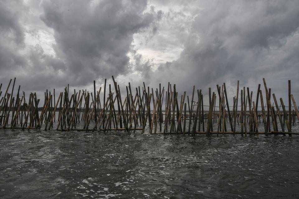 pagar laut, bekasi, pemda, kkp