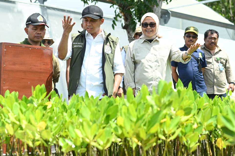 Kemenhut Gelar Tanam Masal Sejuta Pohon di 37 Provinsi