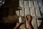 Kemenkop libatkan produsen tahu tempe pada program MBG