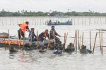 Pembongkaran Pagar Laut Tangerang