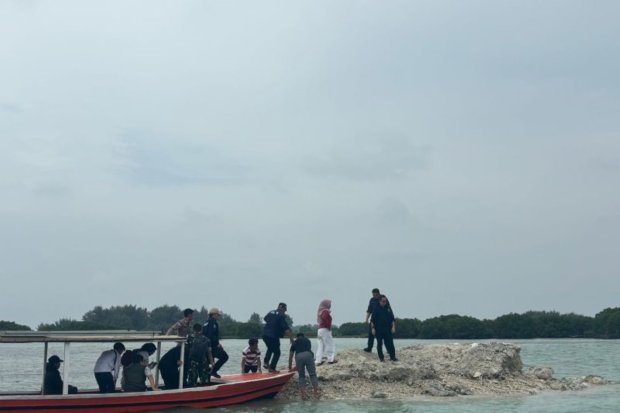 Reklamasi di Pulau Pari Rusak 40.000 Mangrove yang Ditanam untuk Cegah Rob