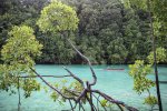 Potensi ekonomi biru kepingan Surga Kalimantan Timur