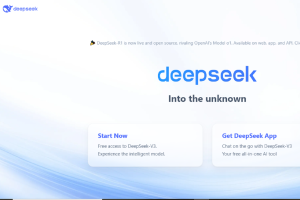 DeepSeek