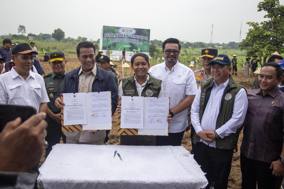 Menhut Sebut 1,1 Juta Hektare Kawasan Hutan Cocok Ditanam Padi Gogo