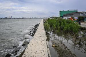 Rencana pembangunan tanggul laut pantai utara Jawa
