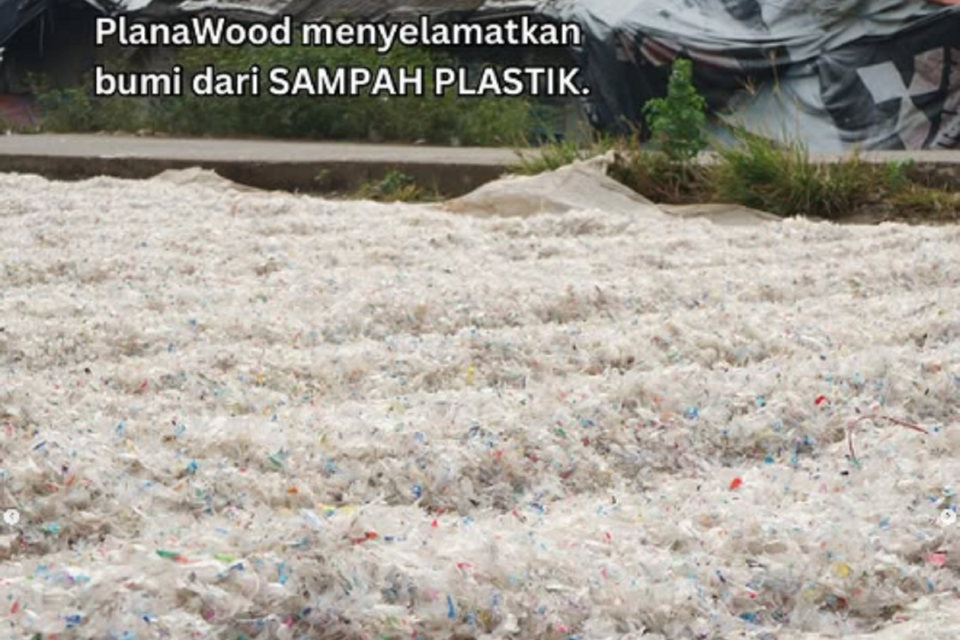 Startup Plana, sampah plastik,