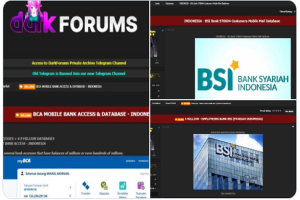 Bjorka menyebut data nasabah BCA dan BSI bocor
