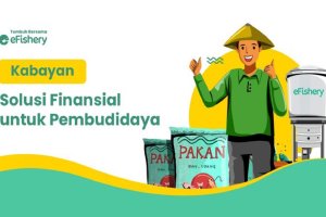 Kabayan eFishery
