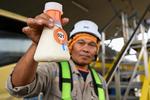 Penyerapan susu segar Nestle Indonesia Pabrik Kejayan