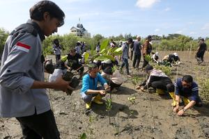 Pemulihan mangrove untuk menjaga wilayah pesisir