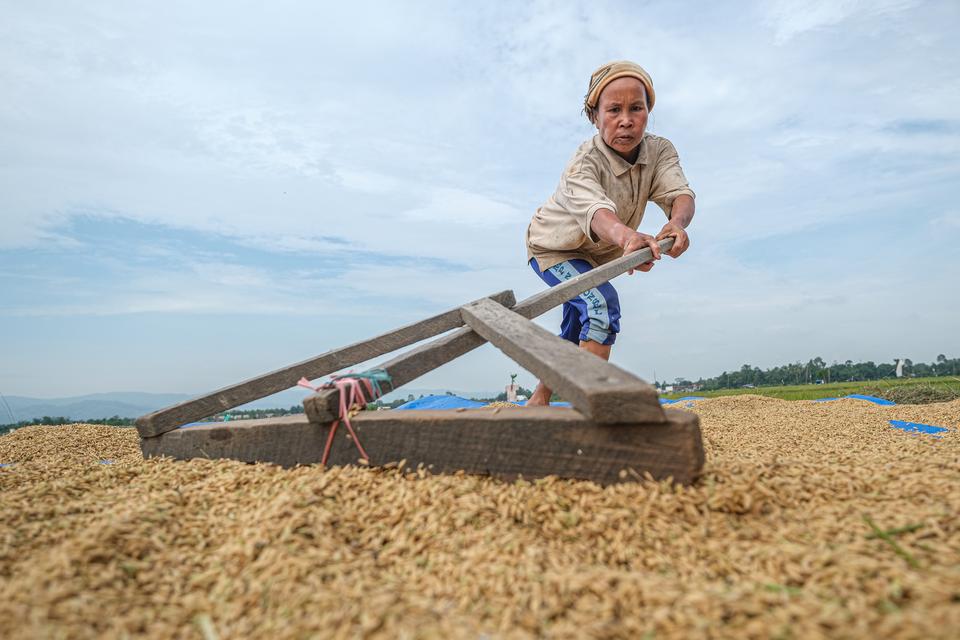 stok beras, perubahan iklim, iklim