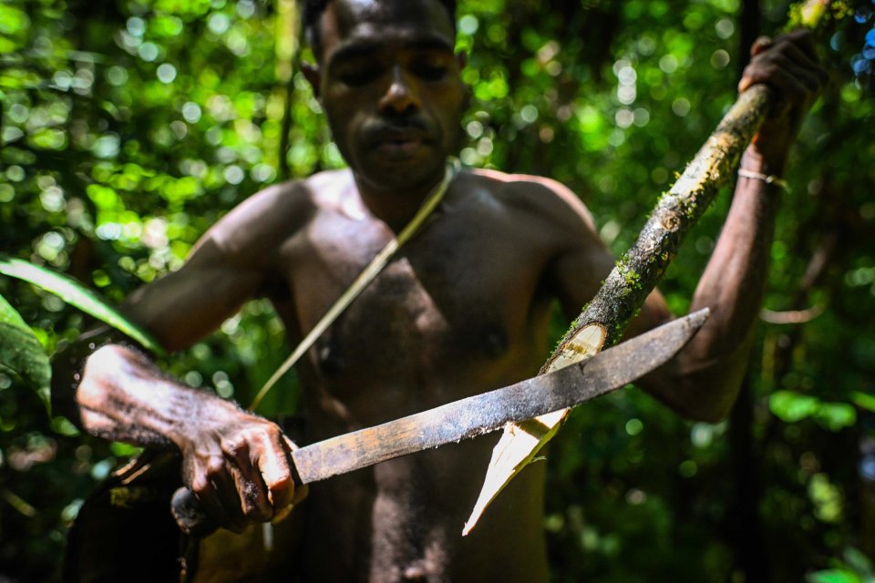 Seorang Suku Tehit menyiapkan tombak dari batang pohon untuk berburu di dalam hutan Kampung Sira, Kabupaten Sorong Selatan, Papua Barat Daya.