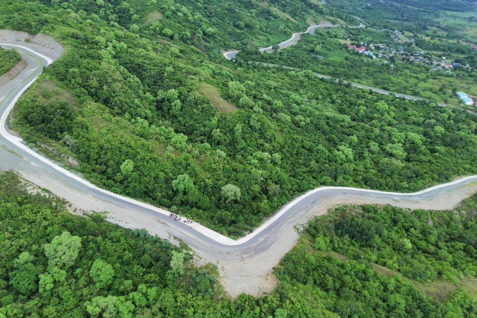 Hutan, deforestasi
