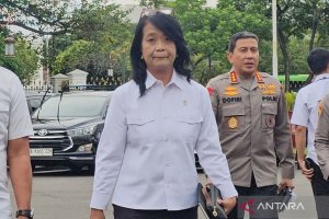 Wakil Menteri Pekerjaan Umum (Wamen PU) Diana Kusumastuti di Kompleks Istana Kepresidenan Jakarta, Selasa (4/3/2025). 